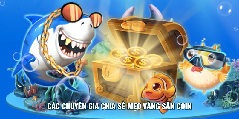 Các chuyên gia chia sẻ mẹo vàng săn coin